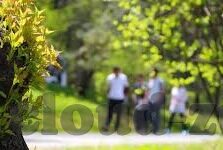 威尼斯人娱乐pk10网站-威尼斯人娱乐pk10网站，一个数字娱乐的新天地